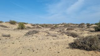 2023-GC--Mapalomas dunas-S123-216.jpg